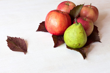 Similar image 14513588