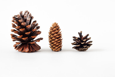 Similar image 14513614