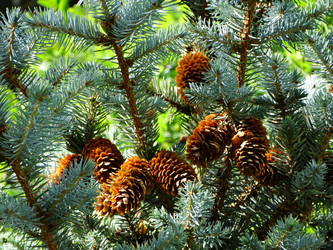 Similar image 14505609