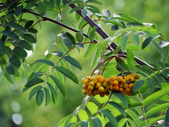 Similar image 14505610