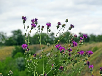 Similar image 14508346