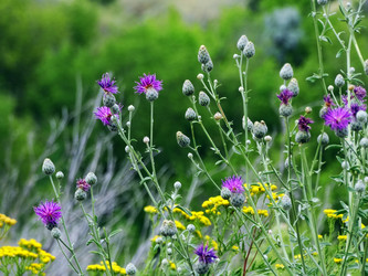 Similar image 14508348