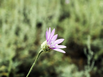 Similar image 14508371