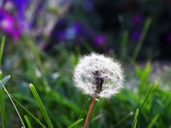 Similar image 14505611