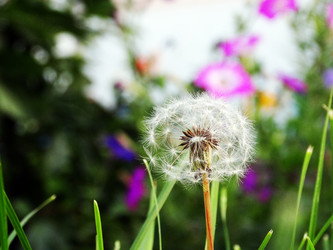 Similar image 14505612