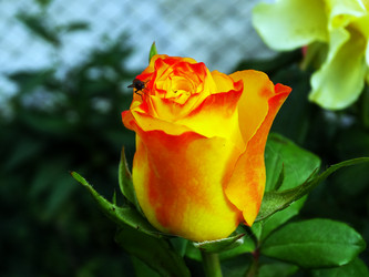 Similar image 14508373