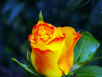 Similar image 14508374