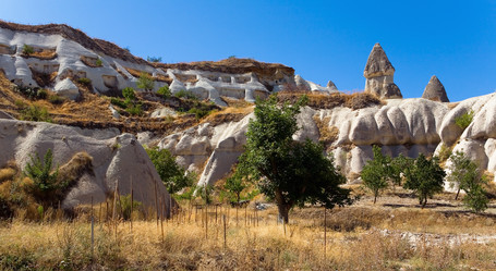 Similar image 14505684