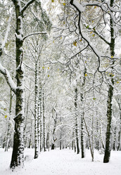 Similar image 14505621