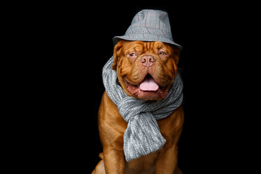 Similar image 14867338