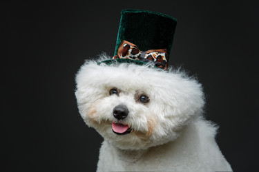 Similar image 14869699