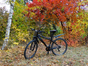 Similar image 14508355