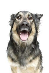 Similar image 14869733