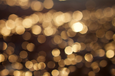 Similar image 14508305