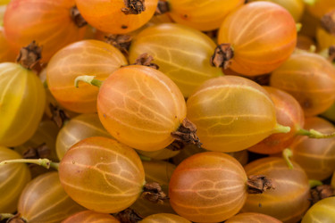 Similar image 14514865