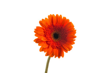 Similar image 14514582