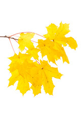 Similar image 14514619