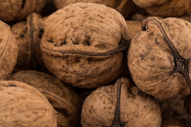 Similar image 14514641