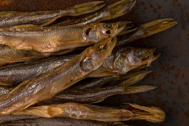 Similar image 14514643