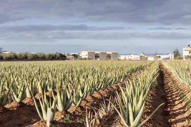 Similar image 14508389