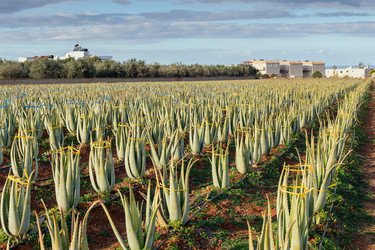 Similar image 14508391