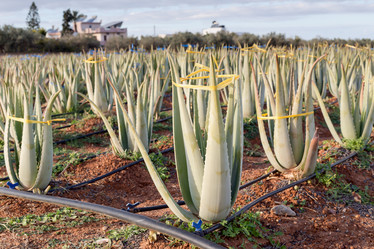 Similar image 14508392