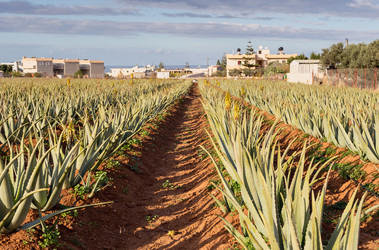 Similar image 14508393