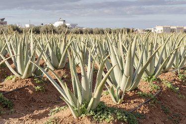 Similar image 14508394