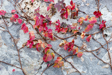 Similar image 14508395