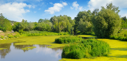 Similar image 14509645