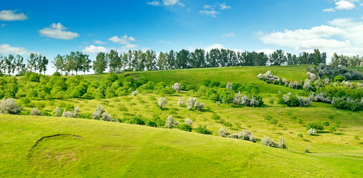 Similar image 14509652