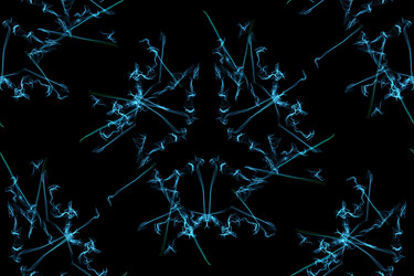 Similar image 14511454