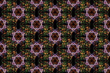 Similar image 14511527