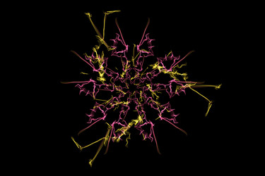 Similar image 14511276