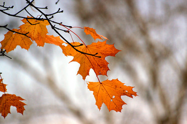 Similar image 14508281