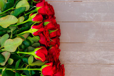 Similar image 14873245