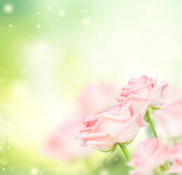 Similar image 14873330