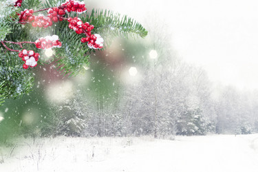 Similar image 14873385