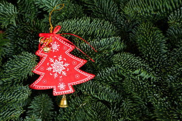 Similar image 14873289