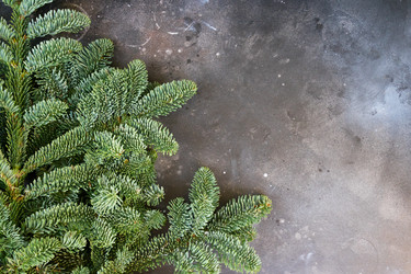 Similar image 14873585