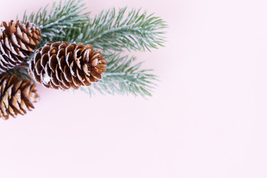 Similar image 14873740