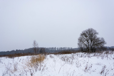 Similar image 14978243