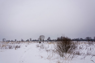 Similar image 14978262