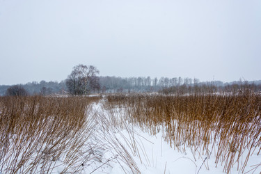 Similar image 14978286