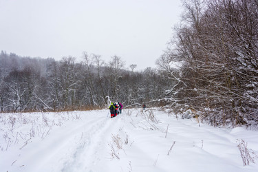 Similar image 14978343