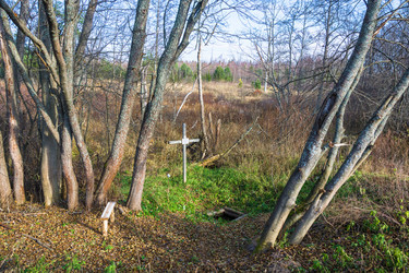 Similar image 14978855