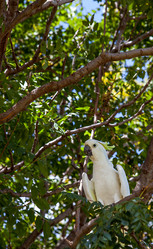 Similar image 14509706