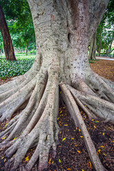 Similar image 14509707