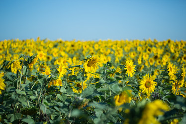 Similar image 14508836