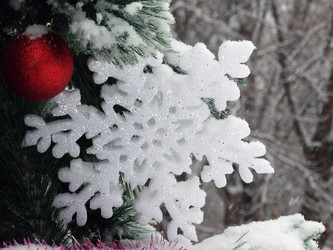 Similar image 14509329